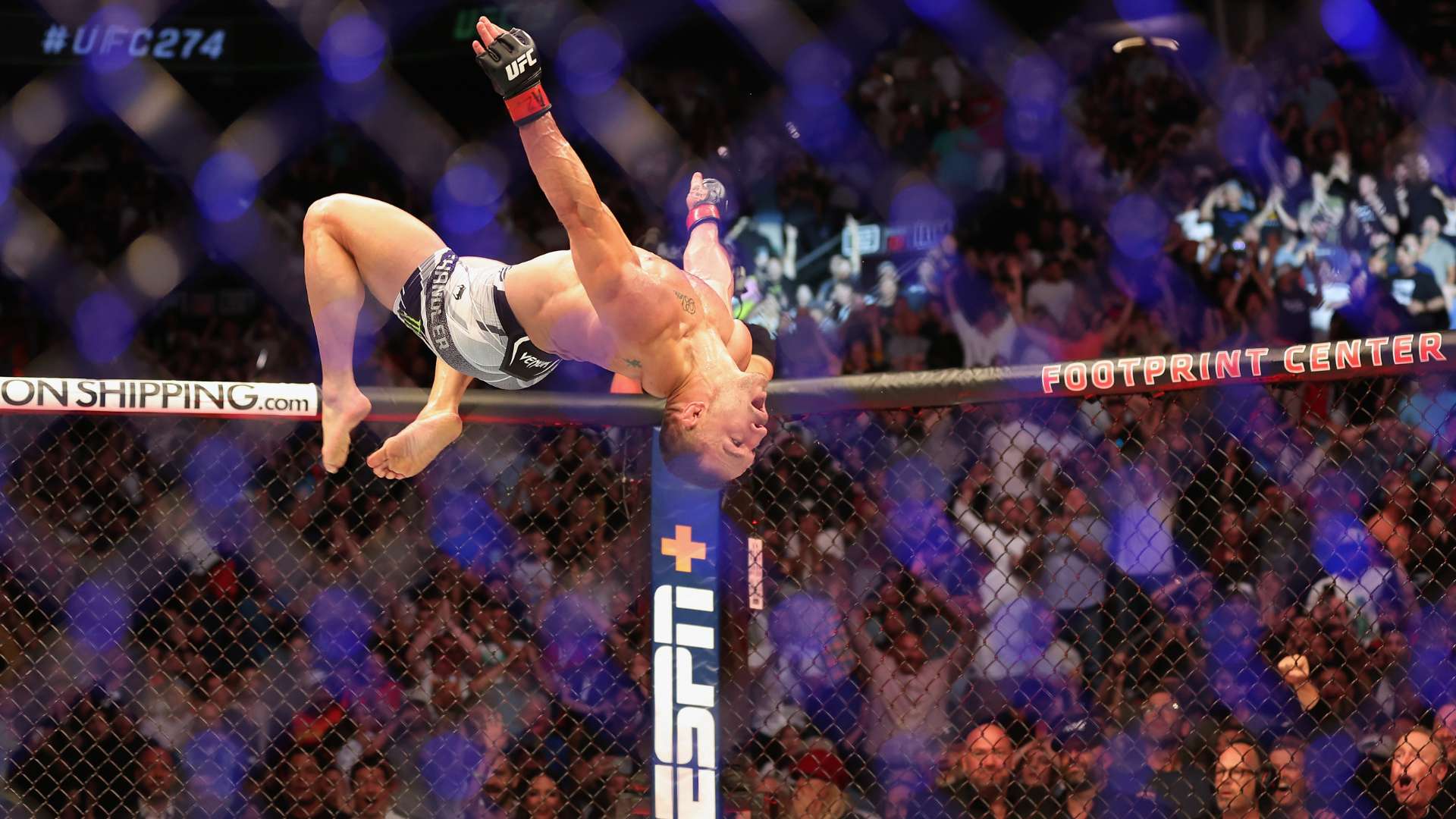 尤为出色 尤为出色