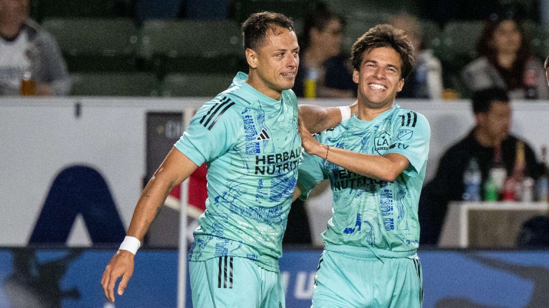 护地区稳定 护地区稳定